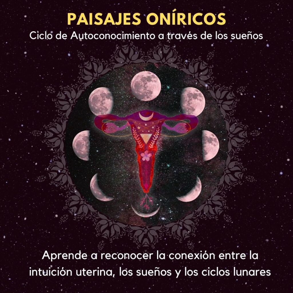 ciclo de autoconocimiento