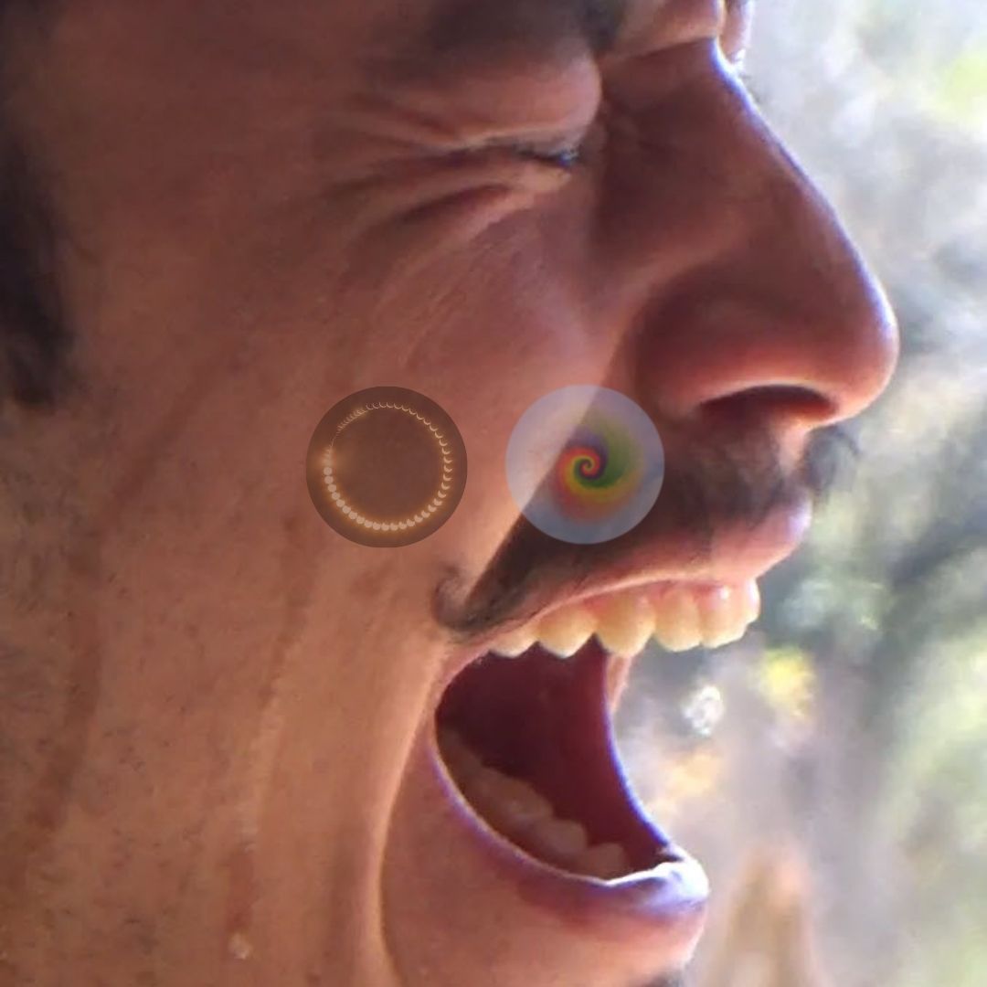 si (4)